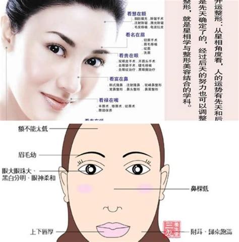 肩膀窄女面相 生殖器